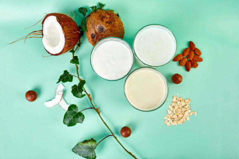 Various vegan plant based milk and ingredients, non-dairy milk, alternative